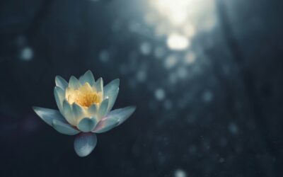 Le Voyage Intérieur de la Méditation